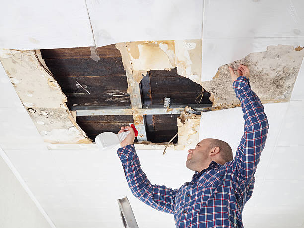 Best Asbestos and Lead Testing During Mold Inspection  in Port Barrington, IL